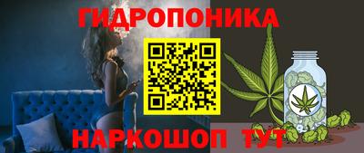трава Кинель