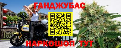 трава Кинель