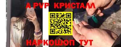 PSILOCYBIN Кингисепп