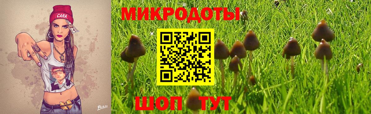 Псилоцибиновые грибы Magic Shrooms Кулебаки