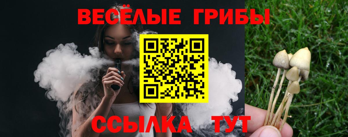 Псилоцибиновые грибы Psilocybine cubensis  Вход с VPN  Галлюциногенные грибы ЛСД  что такое наркотик  Кулебаки 